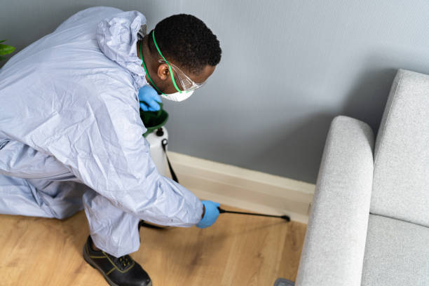 Best Termite Inspection and Treatment  in Silver Creek, NY